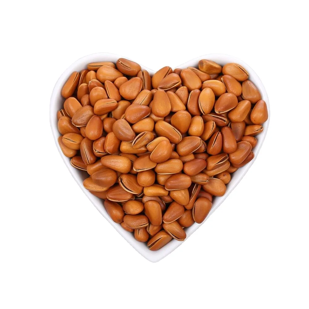 Wholesale Price China Raw Dry Pine Nut Kernel Pine Nuts