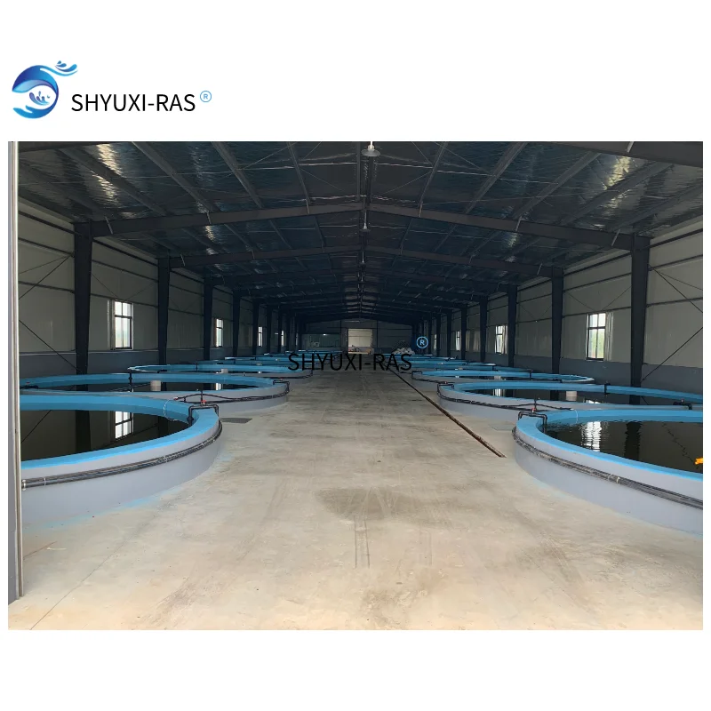 SHYUXI RAS Indoor high-density multi-fish mixed for  ras fish farming equipment indoor