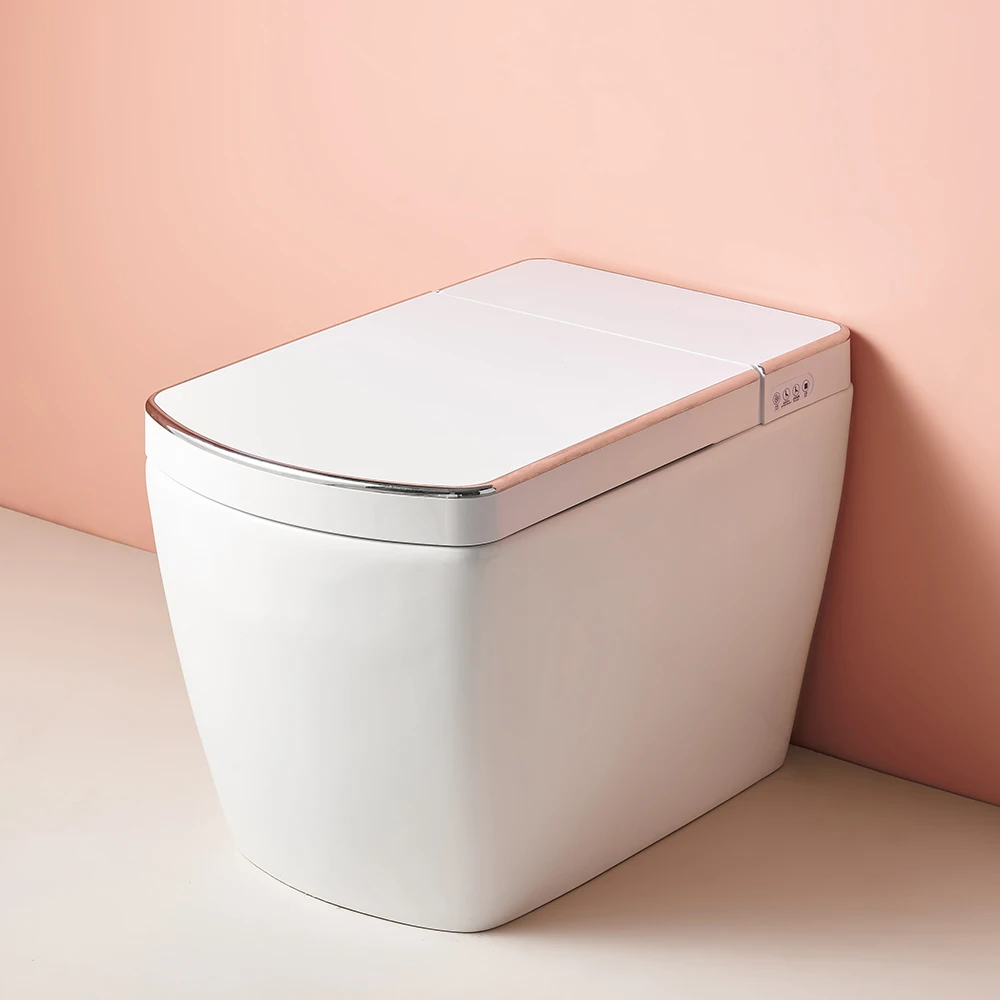 Contemporary design bathroom toilet bidet water