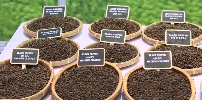 Перцовый перец 1 мм 2 3 черный легкие ягоды перец/перцовая лузга/специи OEM Массовая упаковка (+ 84986778999 David)