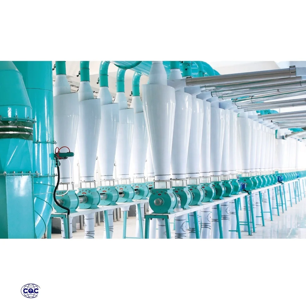 Turnkey plant projects Wheat milling Flour Mill China  100tpd