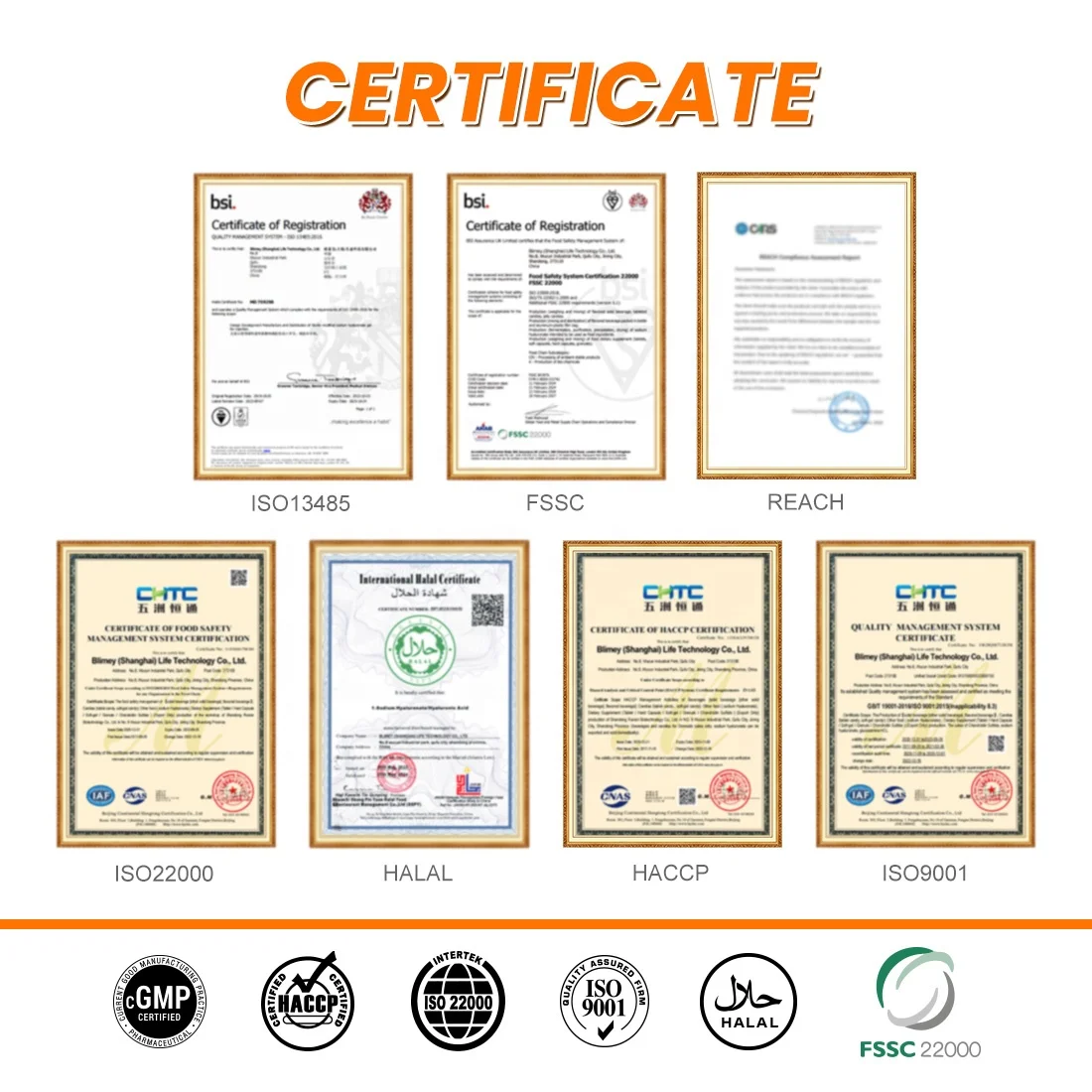 Private label Glucosamine Chondroitin Manufacturers Glucosamin Sulfate Chondroitin MSM Gummies