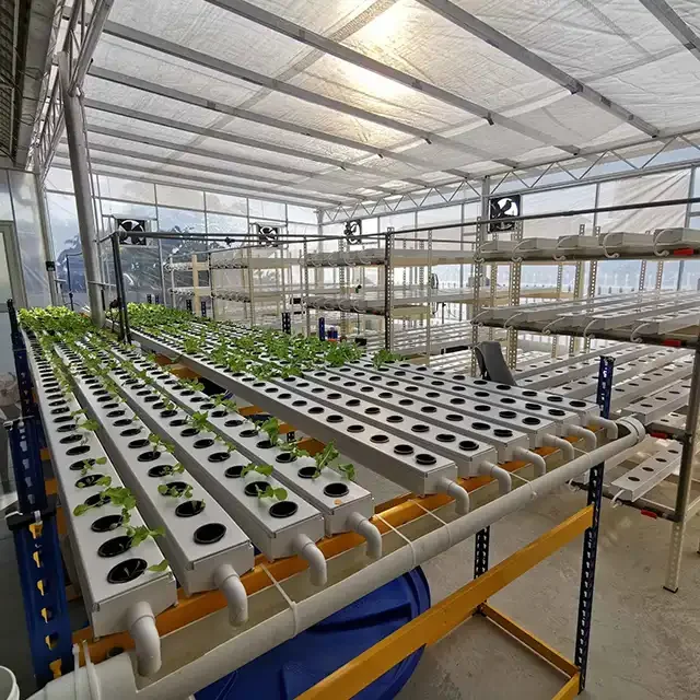 Irrigation Hydroponics  Pvc Channel Hydroponic Nft Growing Systems For Farming Growing Leaf Vegetables