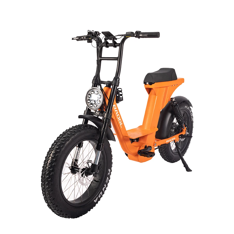 Full suspension fatbike electric 20 inch 250w fat tire ebike cheap price electric dirt bike bicycle electric