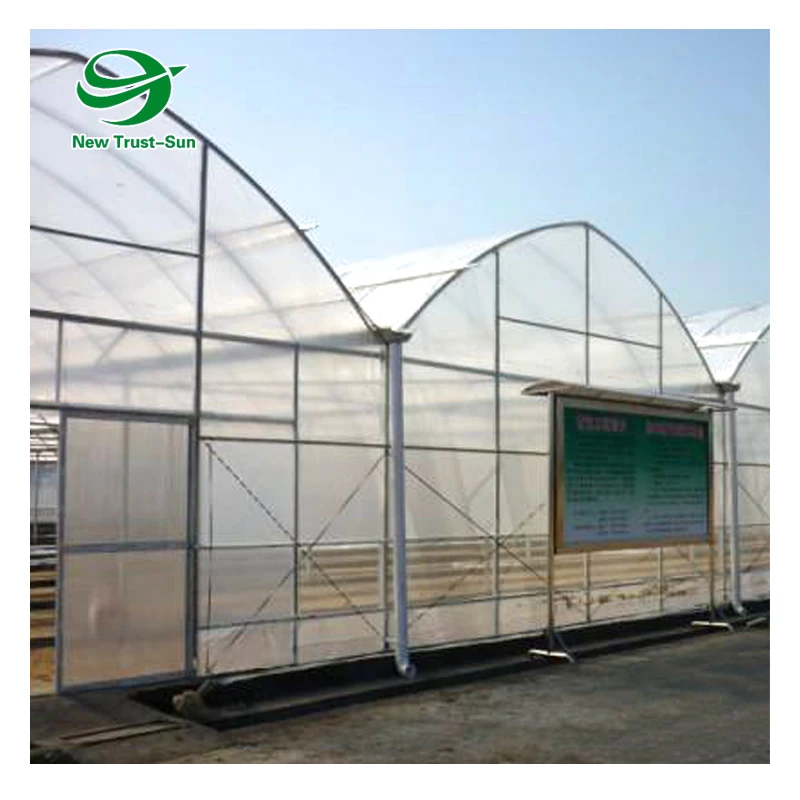 
Agricultural lettuce greens hydroponic system plastic film Multi-Span Greenhouse 