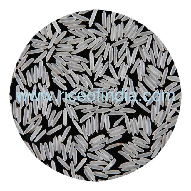 
1121 basmati rice india gate 
