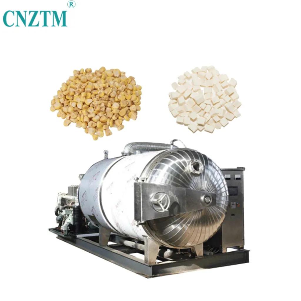 Programmable freezing dryer tunnel automatic dried meat food making machinery insect 200 250 kg vacuum freeze drying machine