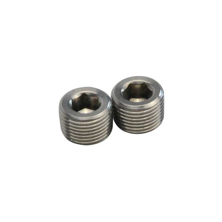 Factory direct sale Stainless steel  BSPT/NPT male thread  hollow hex plug