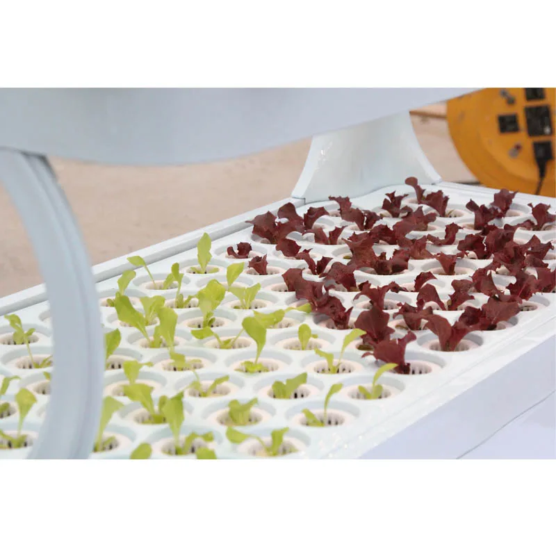 hydroponic tower indoor strawberry planting machine Smart Hydroponic Machine