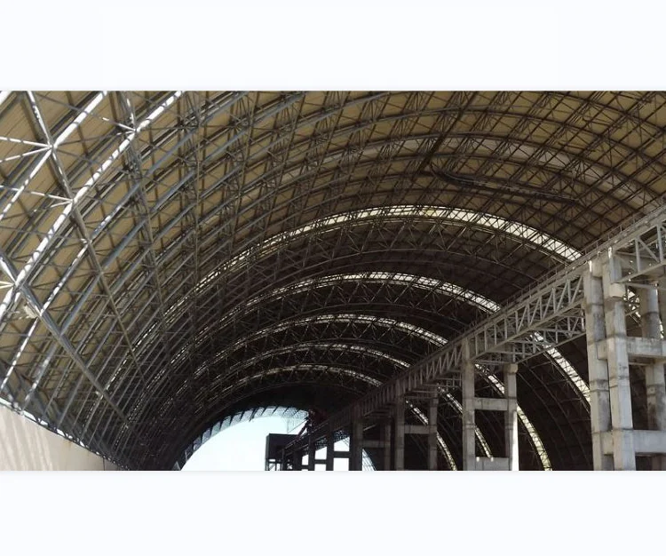 Light Weight Large Span Space Frame High Steel Truss Roof of Dry Coal Shed Storage