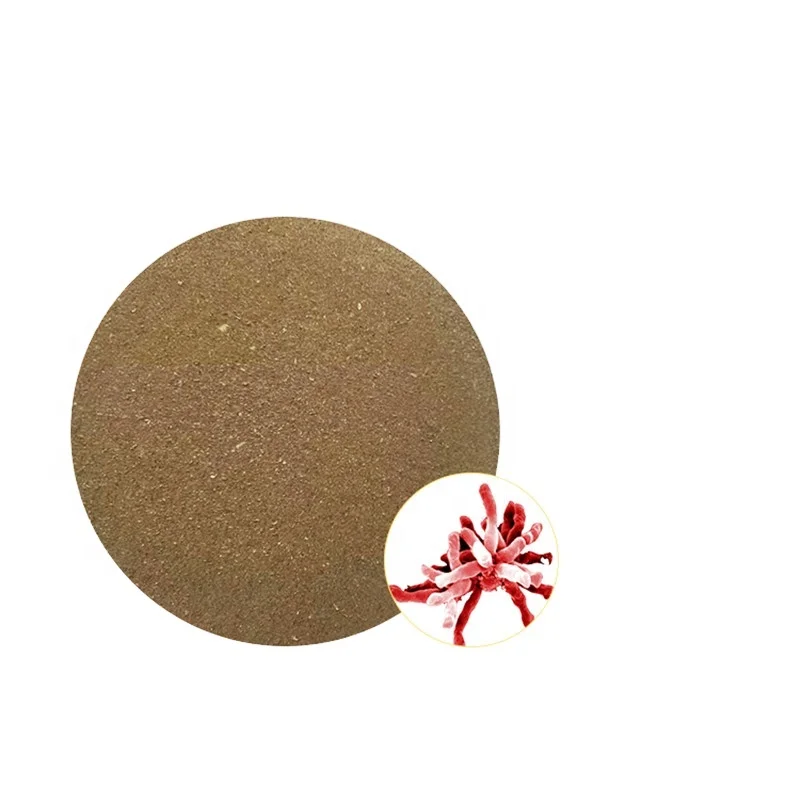 Rhodopseudomonas palustris микробная кормовая добавка для рыб креветок крабов черепах фотосинтезирующих бактерий