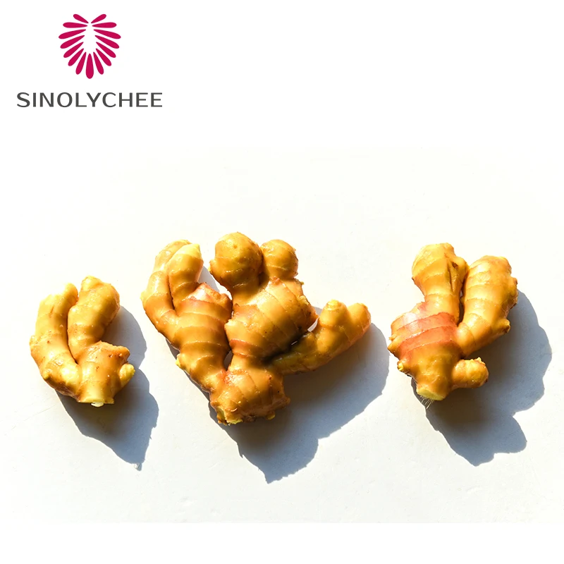 Selling Organic Fresh Ginger Export Ginger Trade