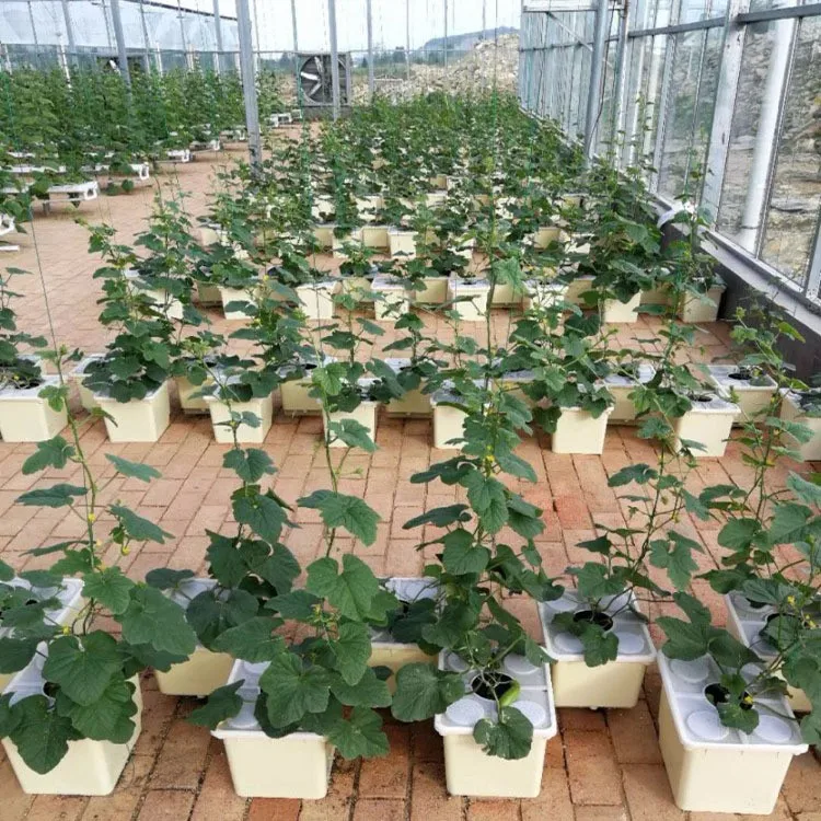 Greenhouse Tomato Dutch Bucket for Cucumber Growing Dutch Bucket Planter Pot for Hydroponic System