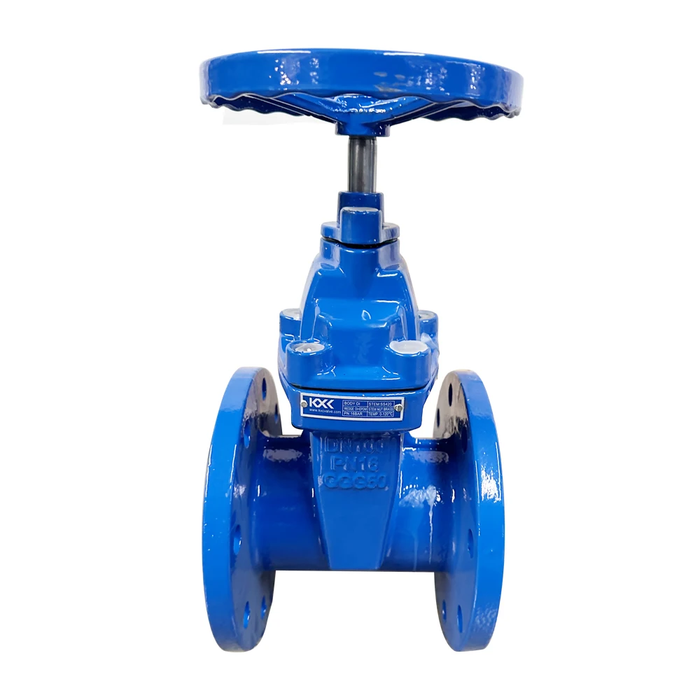 Flange Type ISO CE Certified gate Valve with Di  Body