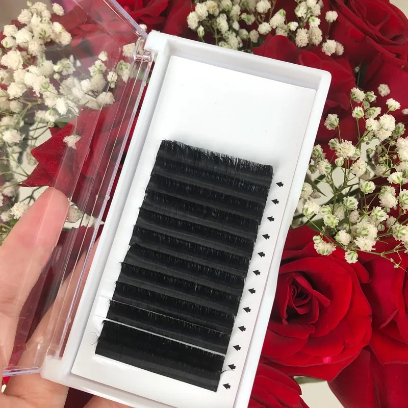 CHARMLASH оптовая продажа оптом Корея Pbt 03 объемные ресницы удлинители поставщик пушистые мягкие шелковые легкие веерообразные ресницы