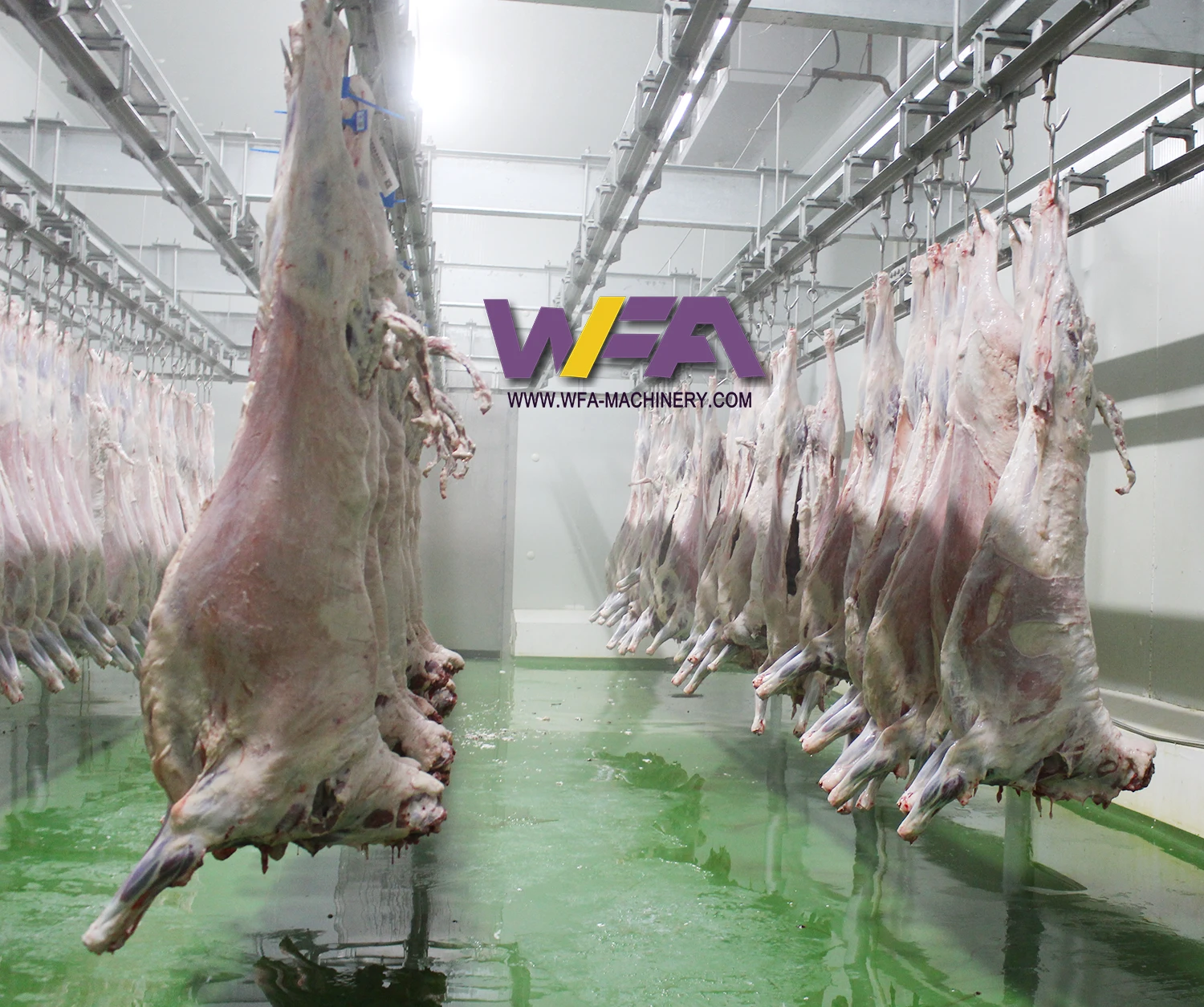 Professional Sheep Abattoir Equipment Automatic Conveyor Rail For Lamb Abattoir