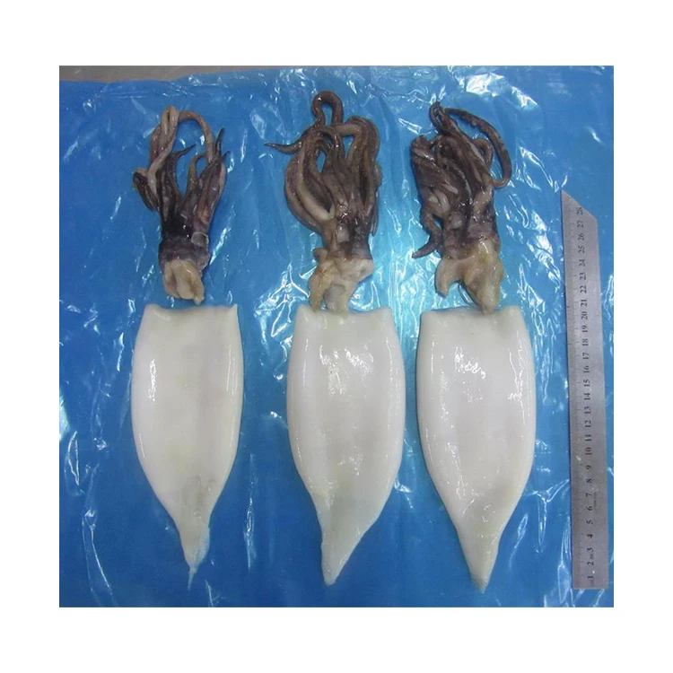 Высококачественный очищенный полый кальмар Illex по низкой цене очищенный детский кальмар