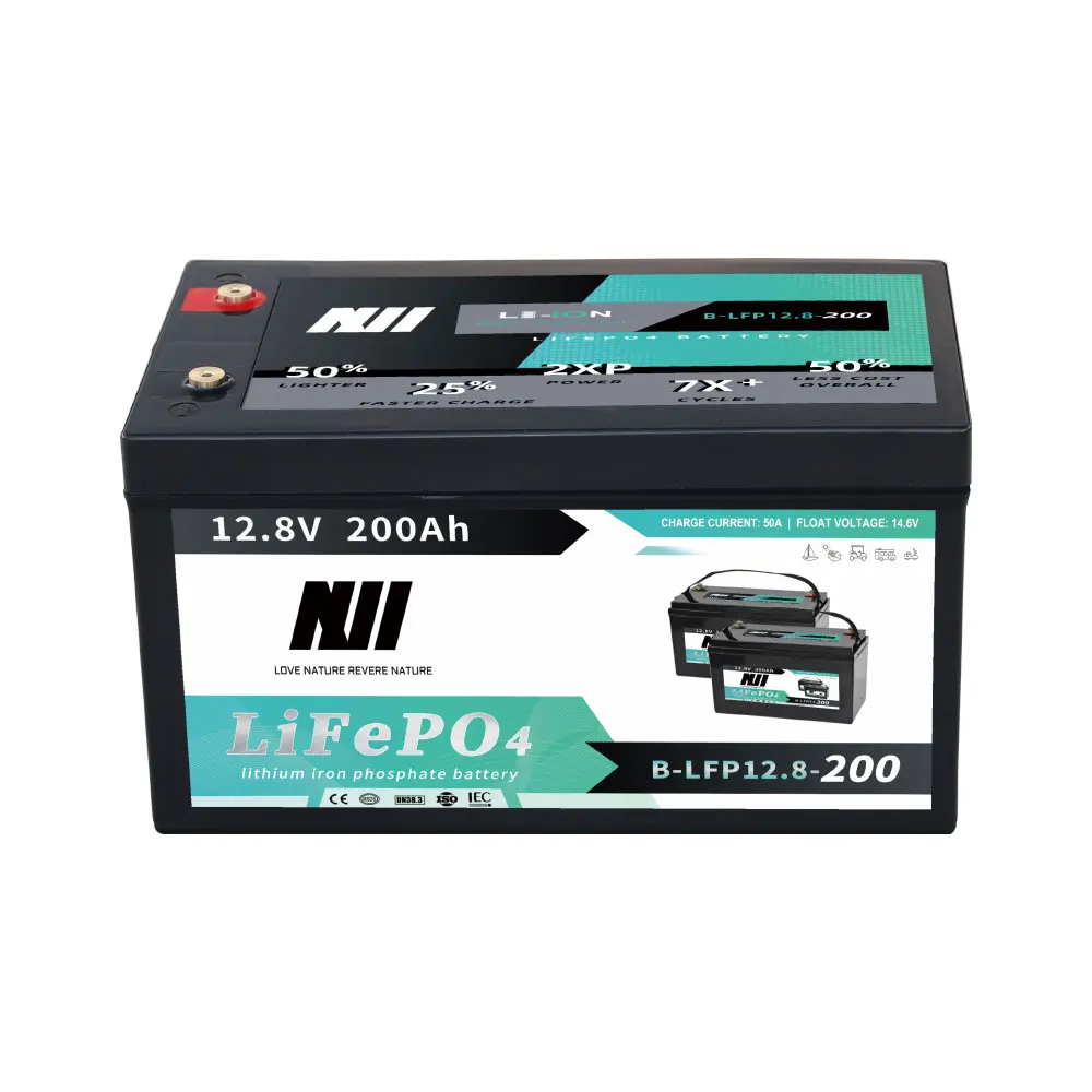 Deep Cycle solar battery 12v 200ah lifepo4 24v 100ah lithium ion battery for RV/solar system/Yacht/Golf Carts/Car