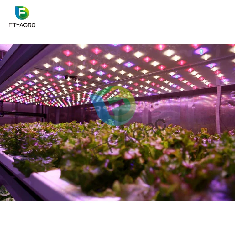 
Complete hydroponic NFT growing container vertical growing system container greenhouse 