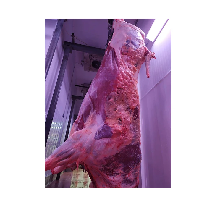 High Quality Organic Natural Beef Meat Cow Carcass( Frame) In Vacuum Pack Beef Meat