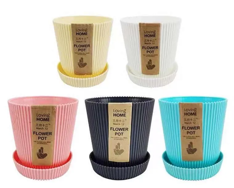 wholesale korean  plastic cheap indoor modern succulent planter small flower pot