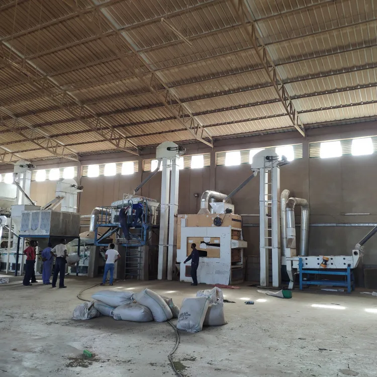 5ZT Sunflower Buckwheat Corn seed cleaner grader machines with grain drying machine