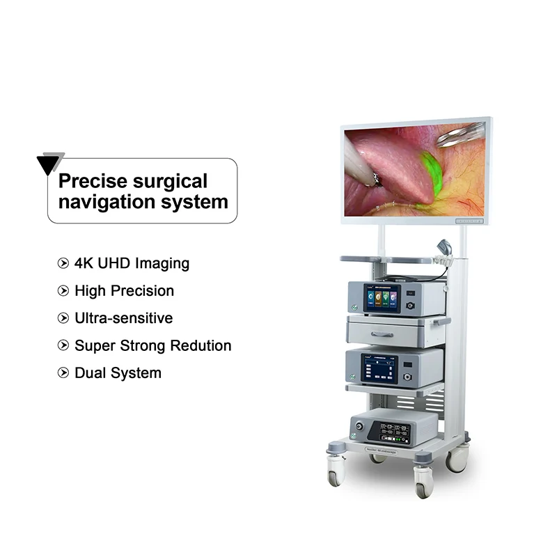 4K Fluorescence Imaging Endoscopy Set Ultrasonic Electronic Equipment Electric Gynecological Surgery Metal Plastic System