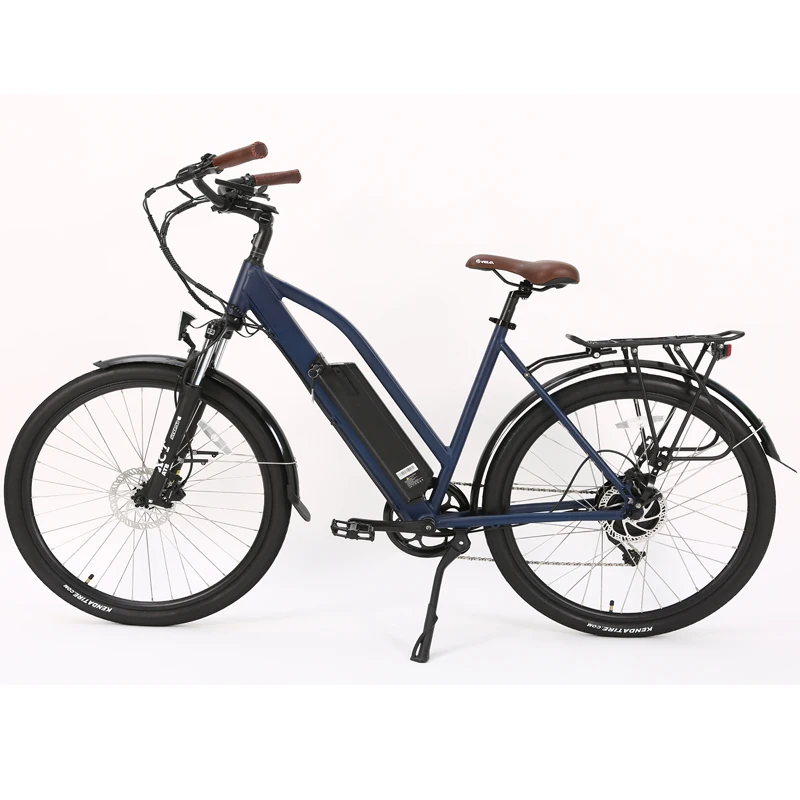 28 Inch Tyre Stainless Steel Spoke Wheel 350W Bafang Hub Motor Step Through Lady Electric City Bike  9 Speed Ebike Bicycle