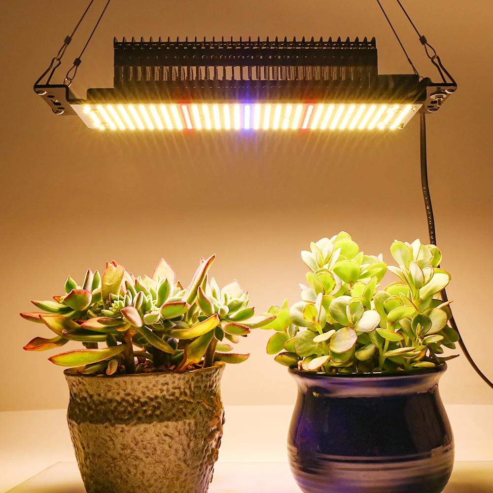 SINJIAlight 300W Warm Full Spectrum Led Grow Light for Growing Indoor Plants