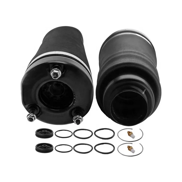 2513203013 2513205613 Auto parts Rear Air Suspension Struts for Benz R-Class W251 Air Spring repair kit