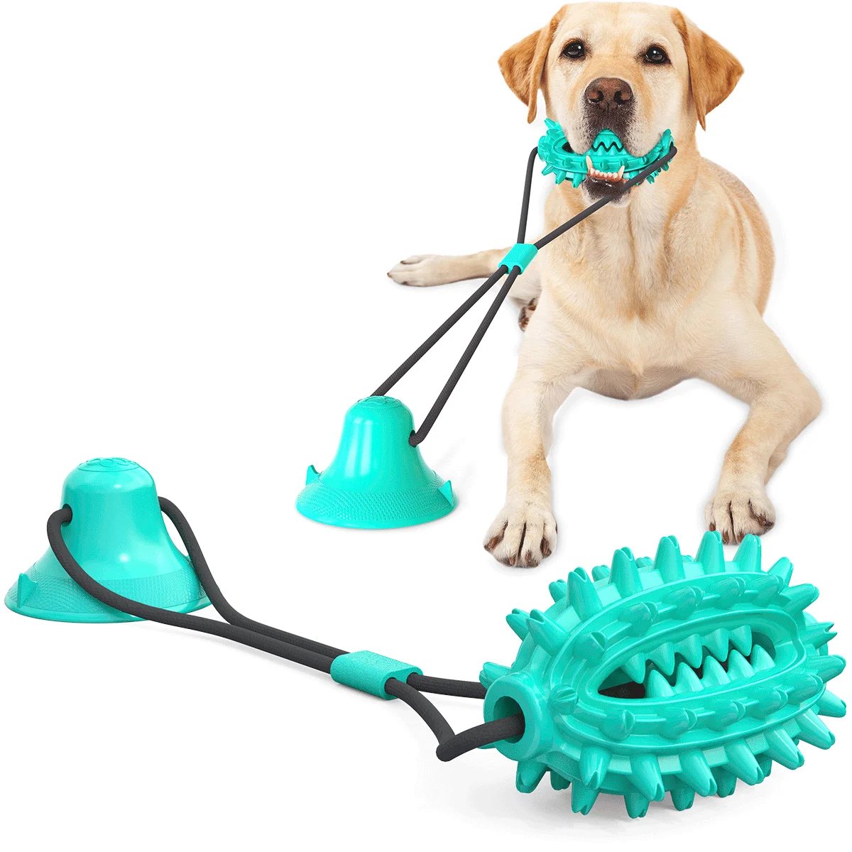 
High Quality Rubber Pet Jagged Balls Teeth Grinding Single Suction Cup Chew Dog Toys 