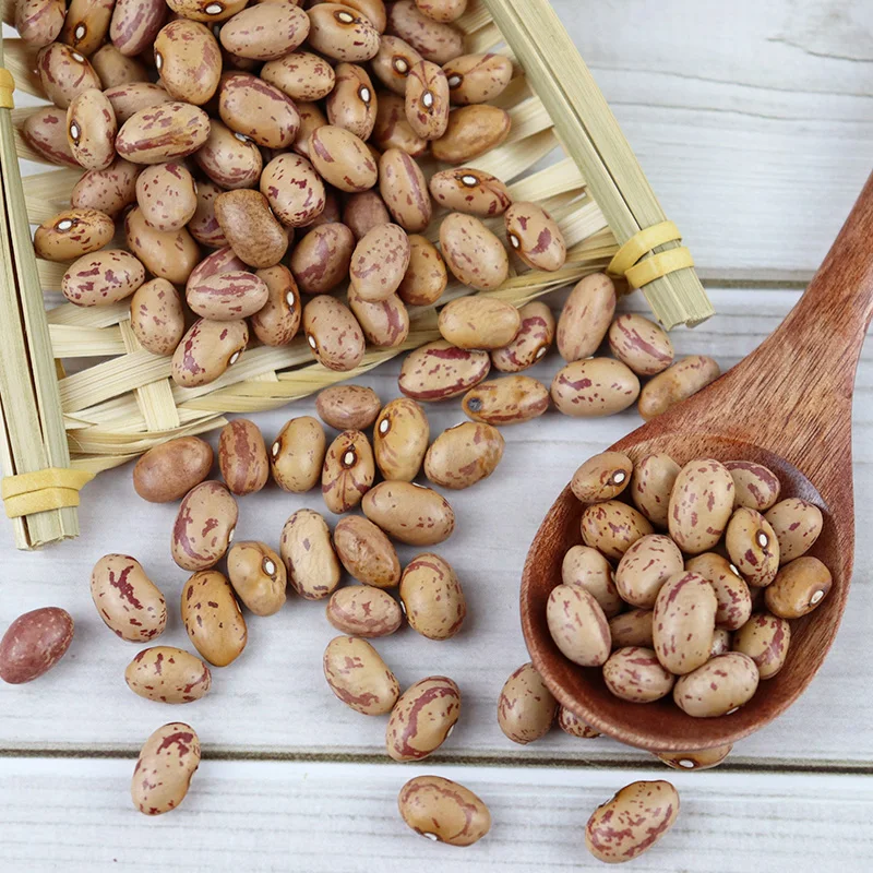 Red Kidney Beans /Speckled Kidney Beans White beans / Pinto beans for Human Consumption