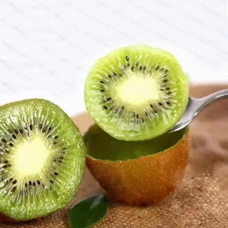 Fresh Kiwi fruit green Hayward wholesales