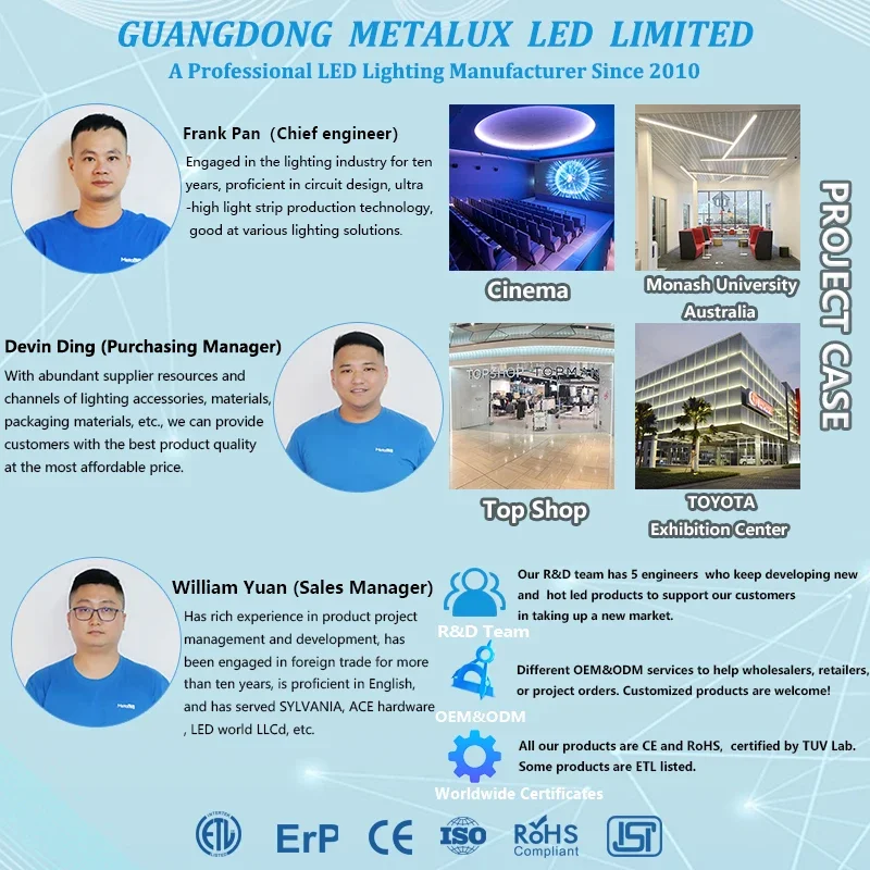 Metalux Rgb Digital Pixel Flex Ce ETL Cob Led Strip Dc 12v/24v 720chips SPI DMX Strip Lights For Indoor Outdoor Decorations