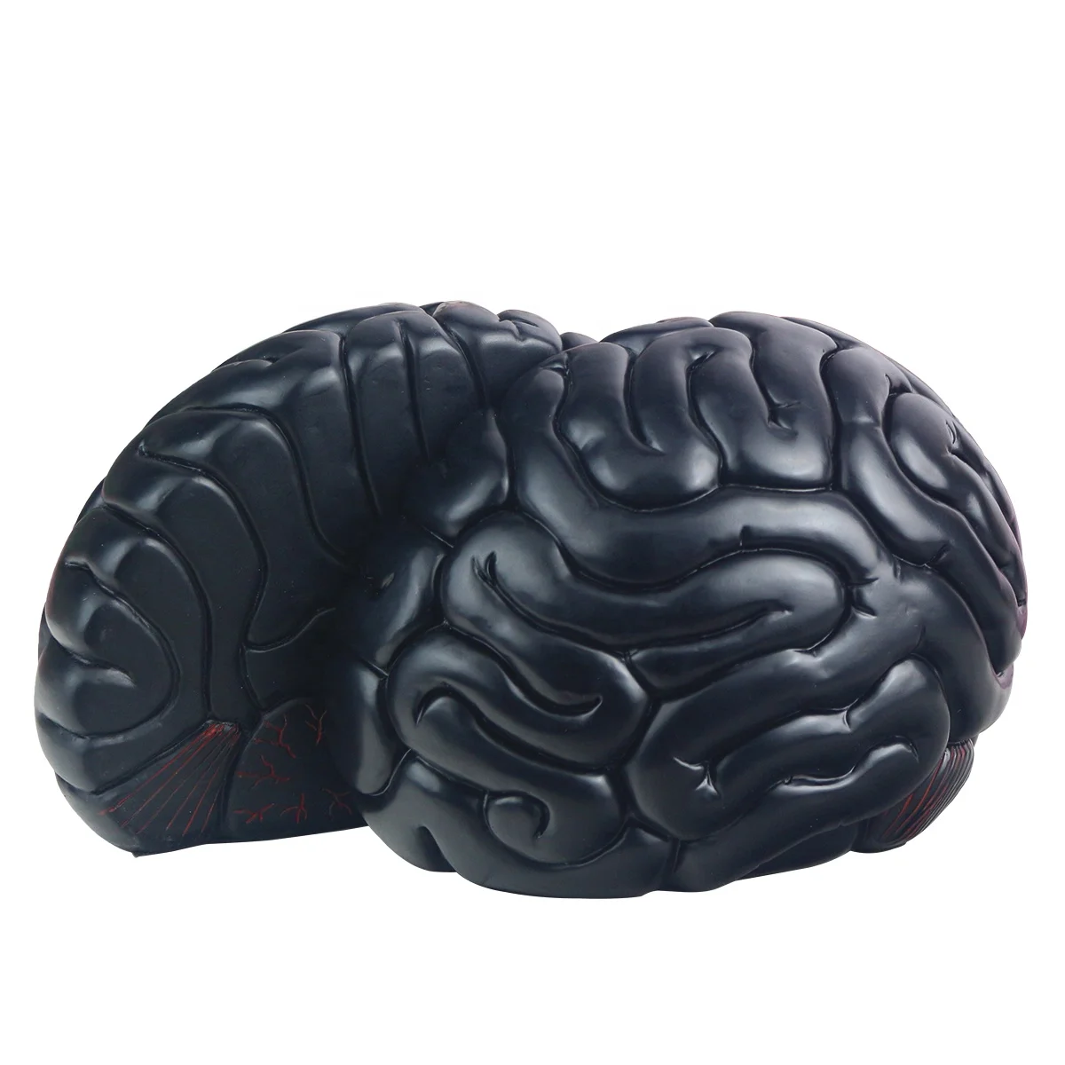 jinhuoba Bookends, Brain Decor Bookend Supports for Heavy Books, Home Decor Suitable for Office,