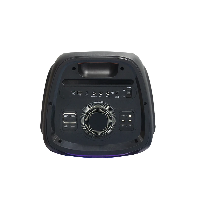Dual 12 Inch BT Party Box Speaker With Flashing Flame Light For Karaoke