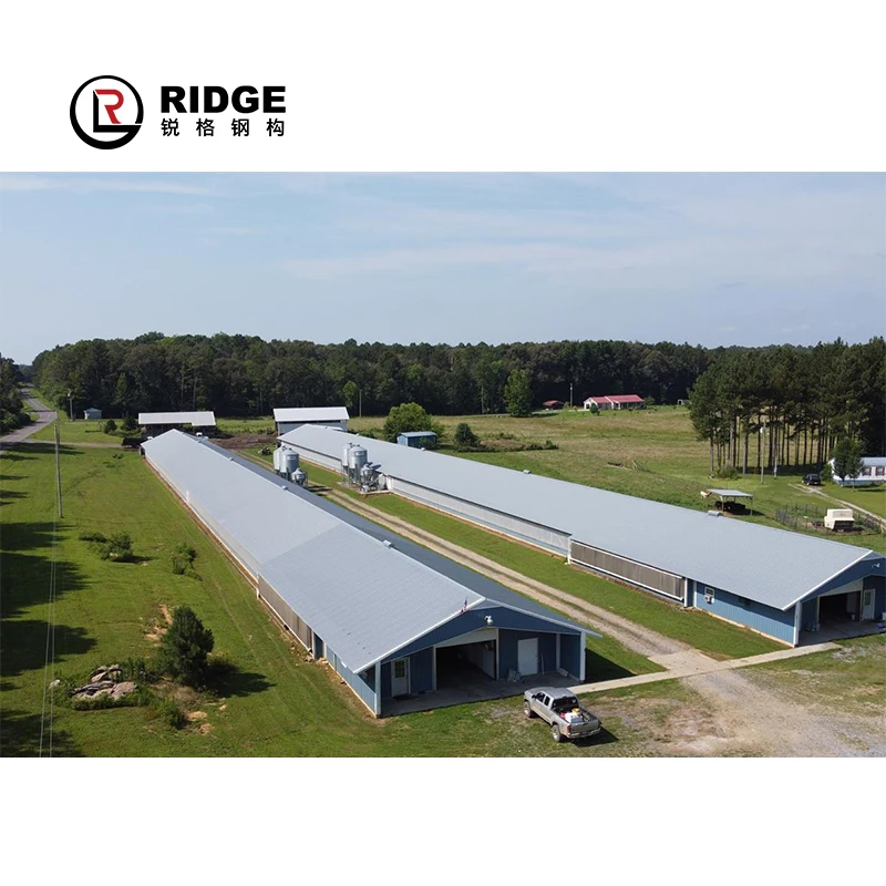 Commercial Steel Frame Broiler Poultry Farm Shed Prefabricated Chicken House Designs For Sale