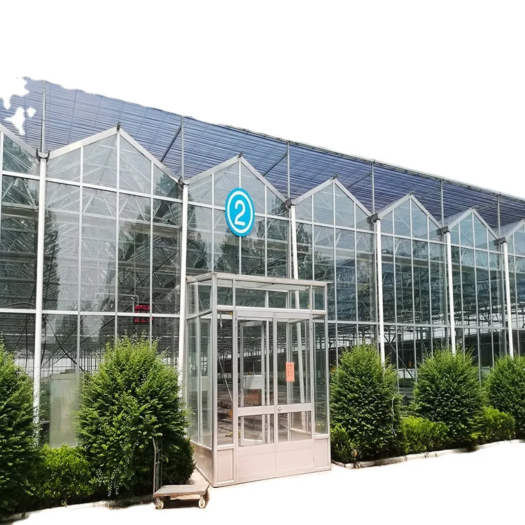 Hualiang prefabricated venlo glass garden greenhouse