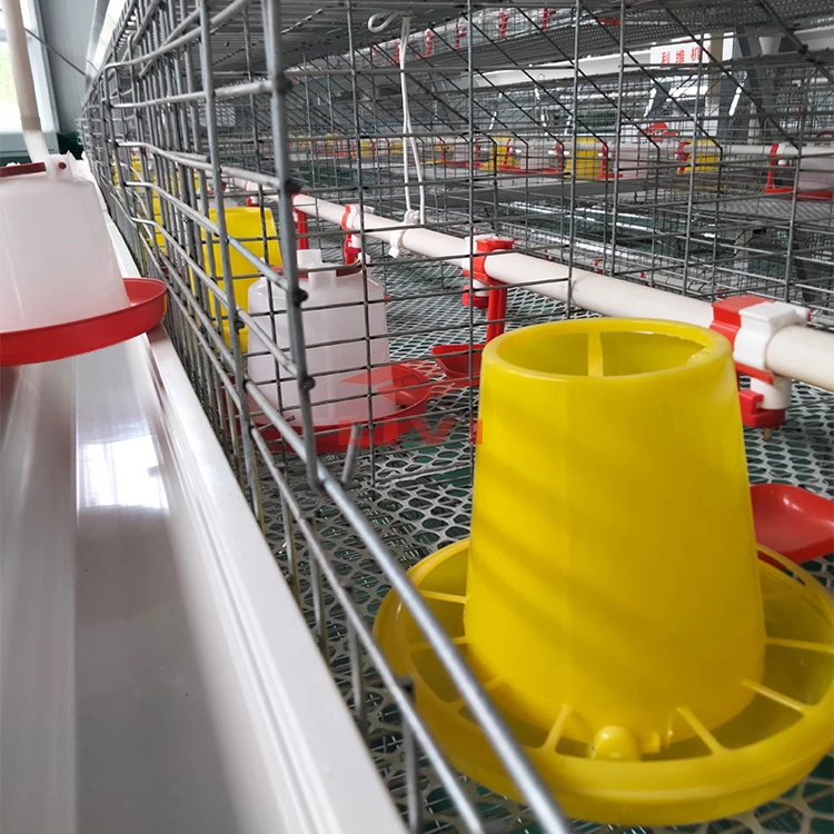 Popular Industrial Hot Galvanized 4 Tier A Type pullet cages Battery baby Layer Chicken Shed Cage For Reasonable Price