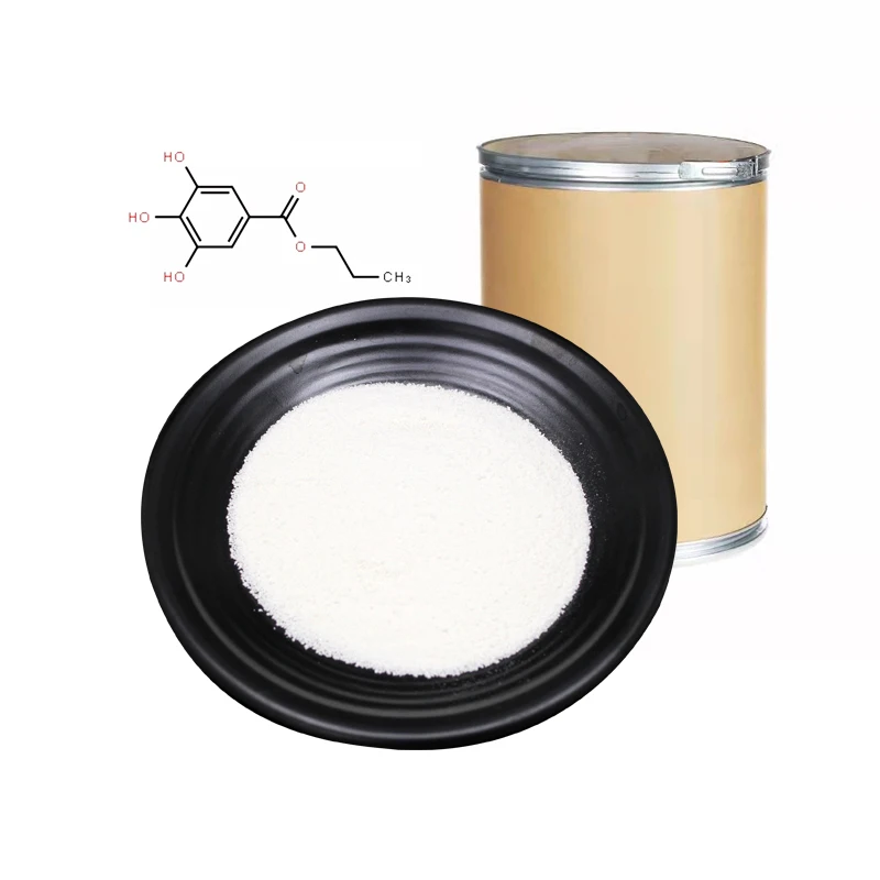 Wholesale hot sale Best price EP grade 99% 99.9% Propyl gallate PG powder manufacturer