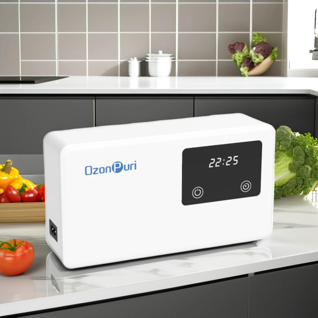 Electric 220V Ozone Generator for Fruits and Vegetables Efficient Fruit and Vegetable Cleaner