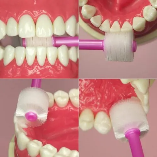 Made in Japan Durable Ultra-Fine Bristles Toothbrush 360 Degree Tooth Brush Best Selling Products 2024 Wholesale Whitening Brush