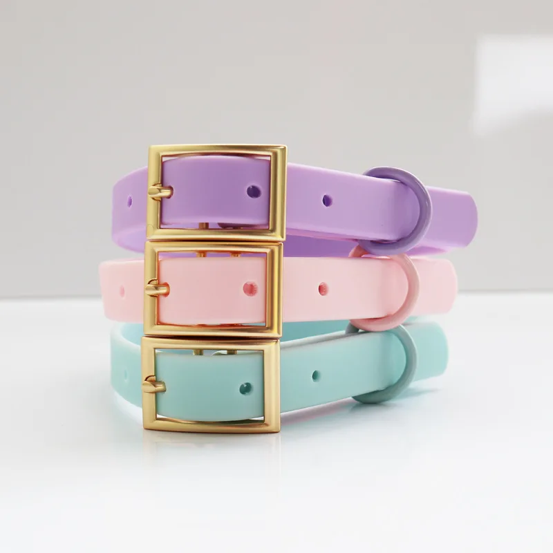 Wholesale High Quality Custom Colors Silicone Coated Webbing Dog Collar PVC Waterproof Dog Collar And Leash