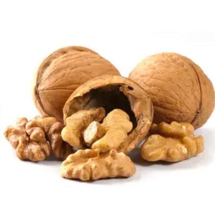 Premium Quality Walnuts Kernel Walnuts Without Shell And Selling Dried Fruit Prices Walnuts Kernel For Sale