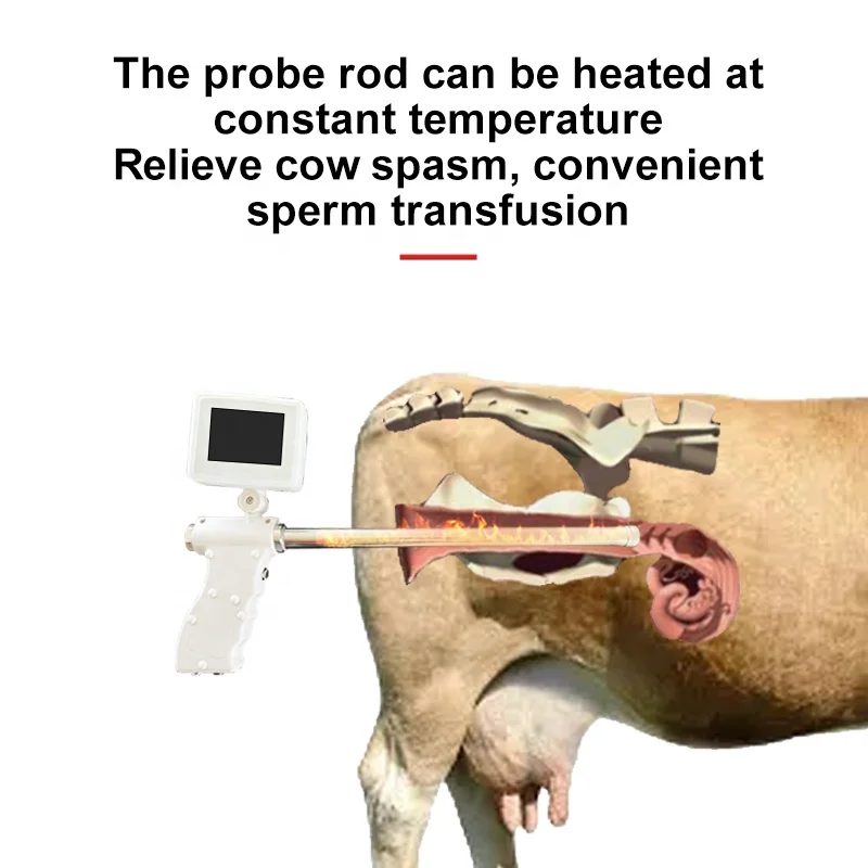 Digital Ai Cow Artificial Insemination Gun Camera + Portable Bovine Pregnancy Scanning Veterinary Ultrasound For Cattle