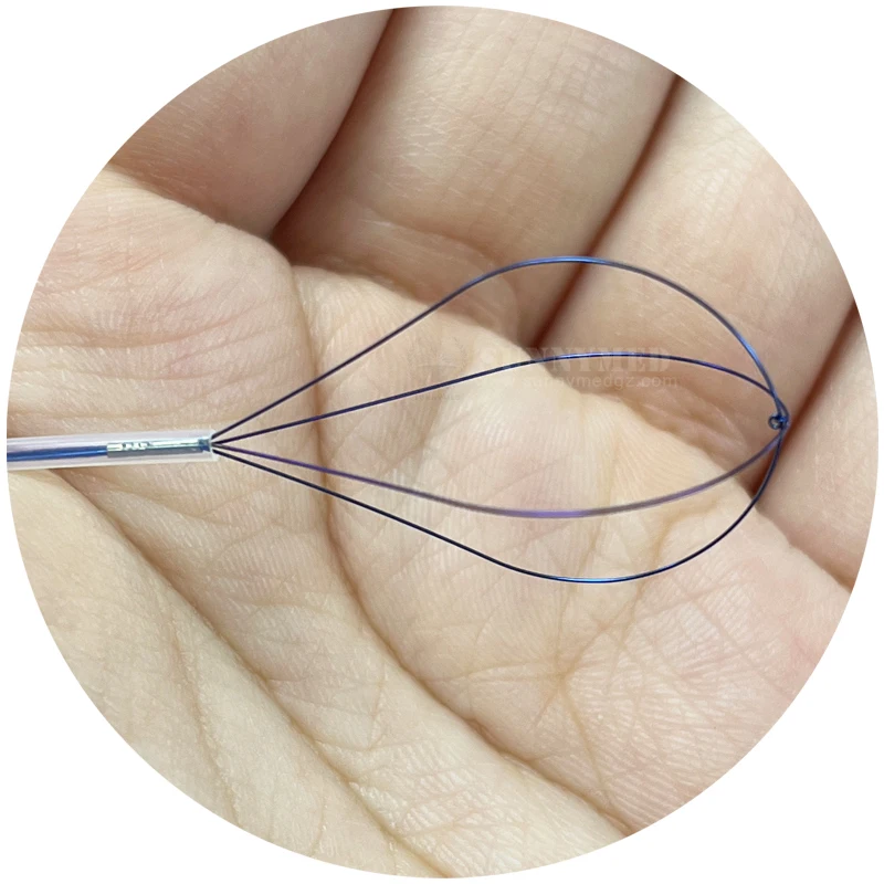 SY-P029-3 12.1inch large screen monitor flexible video endoscope with high image quality for animal/human