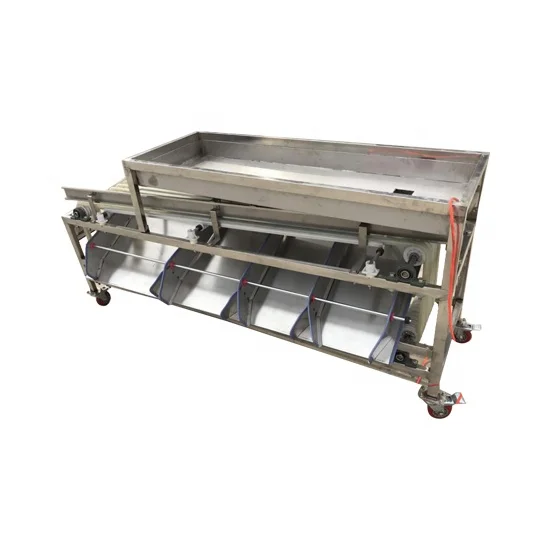 Automatic Fruit longan Red olive sorting selection machine