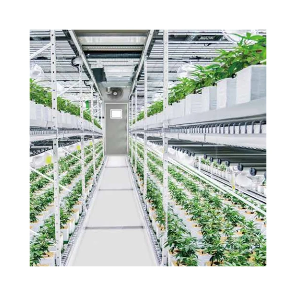 Intelligent Control Hydroponic Container Greenhouse PVC Vertical Agriculture Farming Container Plant Factory Green house