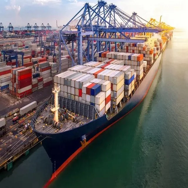 Efficient Logistics Solutions Tailored for Shein USA - Ship with Confidence! from China to Monaco/Montenegro/Netherlands/Norway