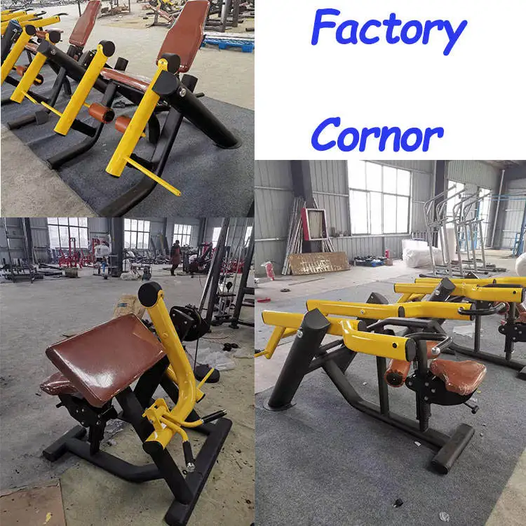 Hot sale gym 80 popular back trainer exercise body building LOW ROW fitness equipment for sales